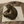 Slapende gestreepte kat op wit fleecekleed op houten vloer, met zzz-tekens. Perfect voor huisdierenslaapcomfort en kattenliefhebbers.