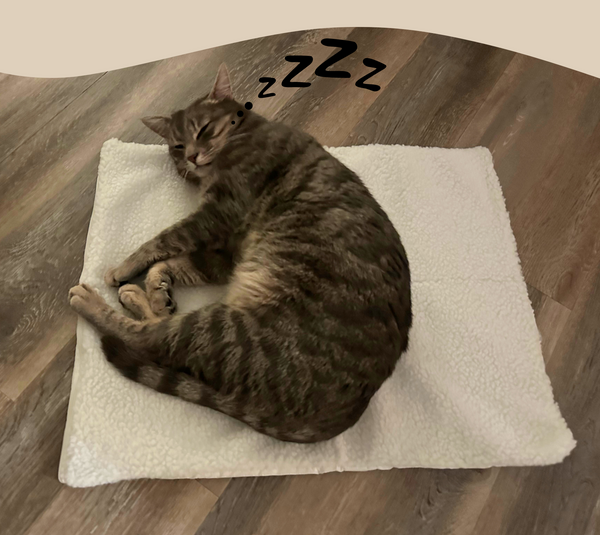 Slapende gestreepte kat op wit fleecekleed op houten vloer, met zzz-tekens. Perfect voor huisdierenslaapcomfort en kattenliefhebbers.