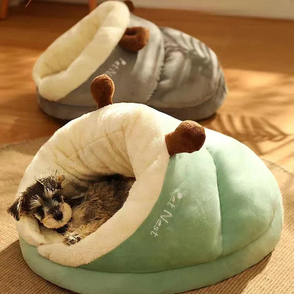 Klein hondje in een groen, ademend hondenbed in pantoffelvorm, op een houten vloer. Comfortabel, wasbaar huisdierenhuis voor honden en katten.
