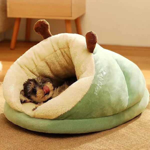 Klein hondje in een groen, ademend hondenbed in de vorm van een pantoffel. Comfortabel, wasbaar huisdierenhuis, ideaal voor kleine honden en katten.