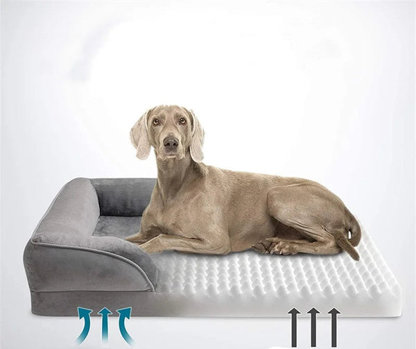 Grijze orthopedische hondenbank met afneembare en wasbare hoes, geschikt voor massage en comfort, Weimaraner liggend op het kussen.