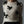 Witte wollen trui met zwarte strikdetails, damesmode, herfst-winter collectie, stijlvolle en elegante kleding, trendy design, comfortabele pasvorm.