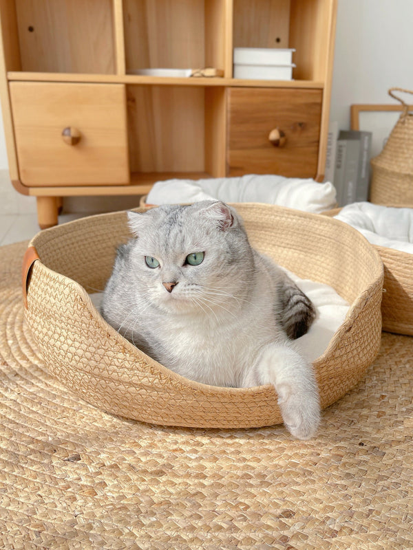 Grijze kat ligt ontspannen in een ronde, gevlochten mand op een jute vloerkleed, met houten kast op de achtergrond. Huisdier, interieur, gezellig.