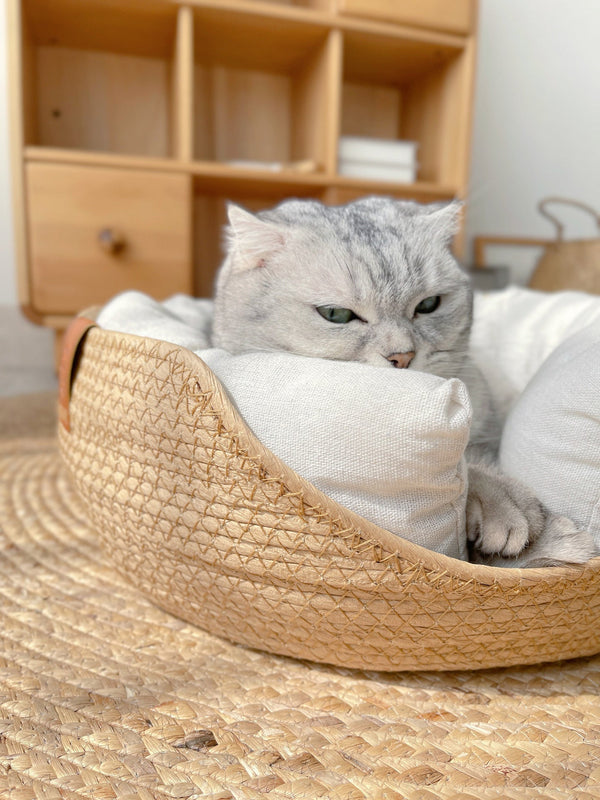 Grijze kat ontspannen in een gevlochten mand op een jute vloerkleed, met houten kast op de achtergrond. Huisdier, interieur, gezellig.