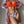 Vrouw in rode bikini en bloemen kimono, strandmode, zomerse outfit, trendy badkleding, stijlvolle dameskleding, tropische print, modefotografie.
