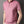 Man in roze polo met rits, korte mouwen, casual stijl, grijze achtergrond. Perfect voor zomermode, herenmode, trendy kleding.