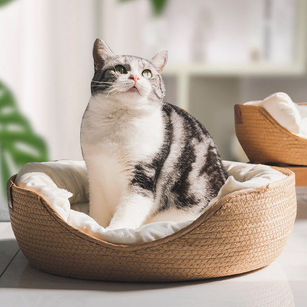 Grijze kat in een ronde, gevlochten kattenmand met witte voering, zittend op een lichte vloer. Perfect voor huisdiercomfort en interieurdecoratie.