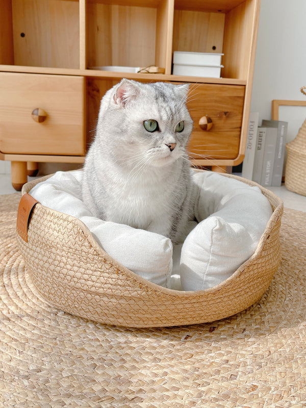 Grijze kat in een ronde, gevlochten kattenmand op een jute vloerkleed, voor een houten kast. Perfecte huisdieraccessoires voor kattenliefhebbers.