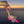Roze hoge hak met strass, vastgehouden bij zonsondergang boven zee. Luxe damesschoen, opvallend design, elegante avondmode.