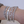 Pols met vier zilveren armbanden: schakelarmband, gladde armband, grove ketting en gedraaide armband. Modieuze sieraden voor dames.