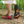 Rode barefoot schoenen met antislipzool voor stevige grip, ideaal voor wandelen in het bos. Comfortabele minimalistische schoenen voor outdoor activiteiten.