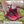 Rode barefoot schoenen op mos, zonder veters, met comfortabele zool. Ideaal voor wandelen en hardlopen. Gemakkelijk aan te trekken.