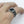 Zilveren herenring met zwarte onyx steen en gedetailleerd filigraan ontwerp, gedragen aan een hand. Stijlvolle sieraden voor mannen, elegant accessoire.