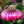 Roze metalen vogelvoeder in bloemvorm met een kleurrijke vogel, omringd door groene tuinplanten. Perfect voor tuinliefhebbers en vogelliefhebbers.