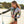 Vrouw in bloemen surfpak op strand met surfplank, zonnige dag, tropische achtergrond. Perfect voor surfen, strandmode, watersportliefhebbers.