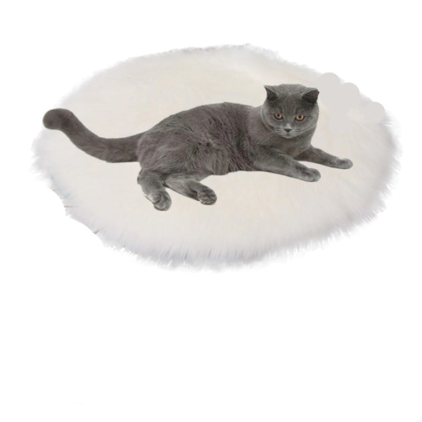 Grijze kat op witte verwarmingsmat, comfortabele huisdierverwarming, ideaal voor kattenrust, huisdieraccessoires, winterwarmte.