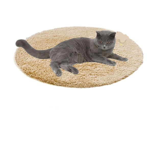 Grijze kat liggend op een beige verwarmingsmat, comfortabele huisdierverwarming, ideaal voor katten, huisdieraccessoires, winterwarmte.