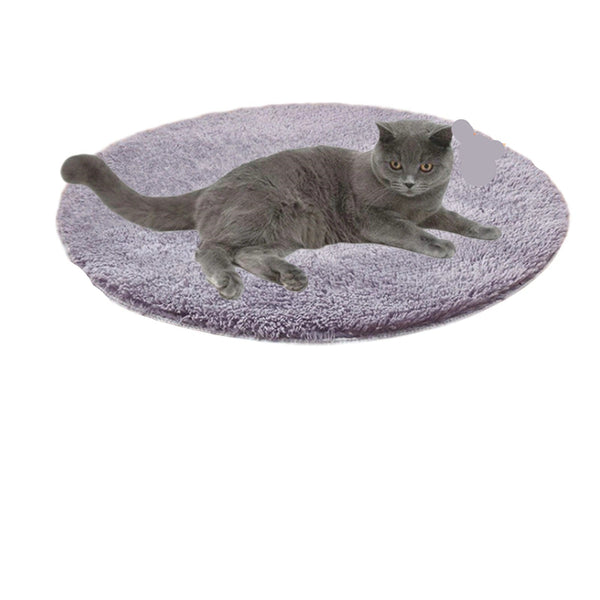 Grijze kat ligt comfortabel op een ronde, pluche verwarmingsmat. Ideaal voor huisdieren, kattenbed, verwarmde mat voor kattencomfort.