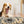 Beagle hond geeuwt naast grijze snuffelmat, huisdier speeltijd, interactieve hondenaccessoires, ontspanning, binnenhuisomgeving.