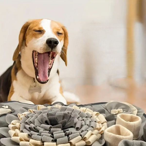 Beagle hond geeuwt naast grijze snuffelmat, huisdier speeltijd, interactieve hondenaccessoires, ontspanning, binnenhuisomgeving.