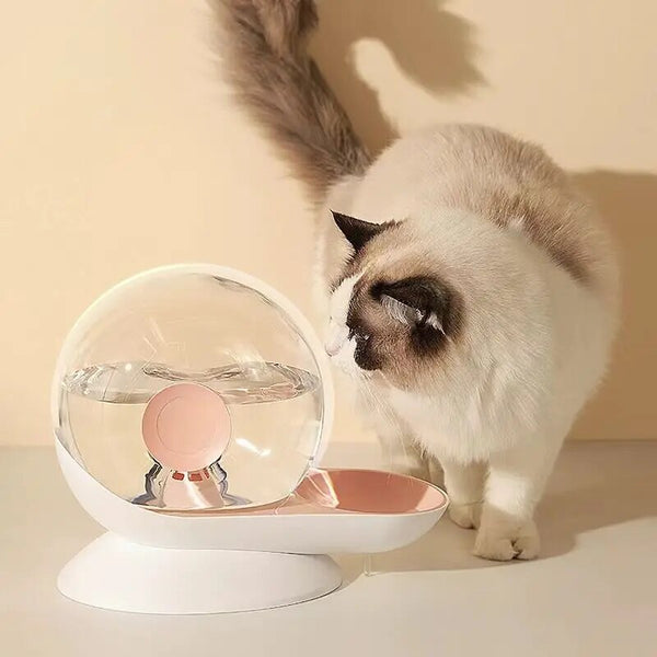 Kat drinkt uit moderne kattenwaterfontein met filter, slakkenontwerp, grote drinkbak. Automatische waterdispenser voor huisdieren, stijlvol en functioneel.