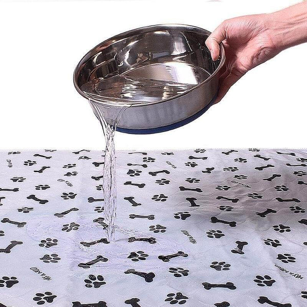 Hand giet water op absorberende hondenplasmat met pootafdrukken en bottenpatroon, ideaal voor zindelijkheidstraining en huisdierverzorging.