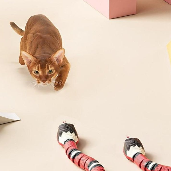 Bruine kat besluipt speelgoedslang op beige achtergrond, minimalistisch design. Perfect voor huisdierliefhebbers en interieurdecoratie.