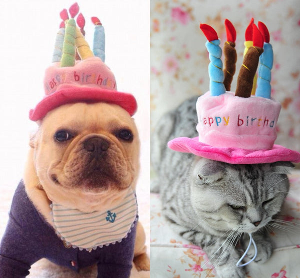 Twee huisdieren, een hond en een kat, dragen kleurrijke verjaardagsmutsen met kaarsen. Perfect voor feestelijke huisdierverjaardagen.