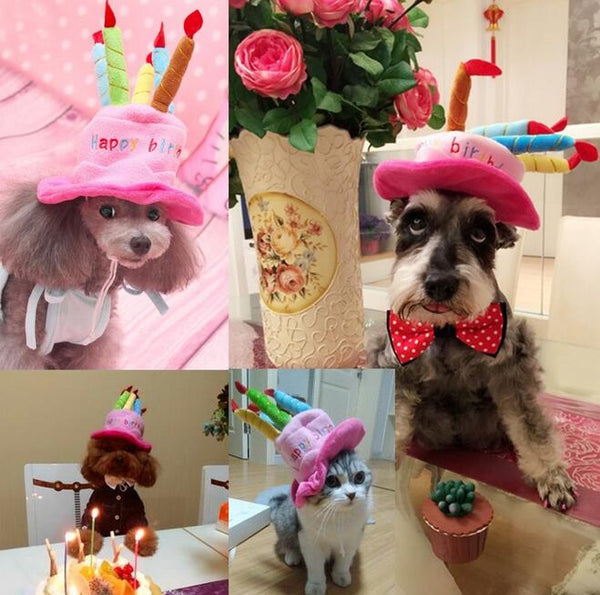 Afbeelding van huisdieren met roze verjaardagsmutsen en kleurrijke kaarsen, inclusief een poedel, schnauzer, kat en een hond met strik, omringd door feestdecoraties.