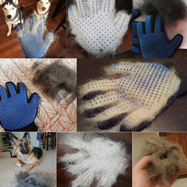 Hondenverzorgingshandschoen met blauwe siliconen noppen, ideaal voor het verwijderen van losse hondenharen. Perfect voor vachtverzorging en huisdierverzorging.
