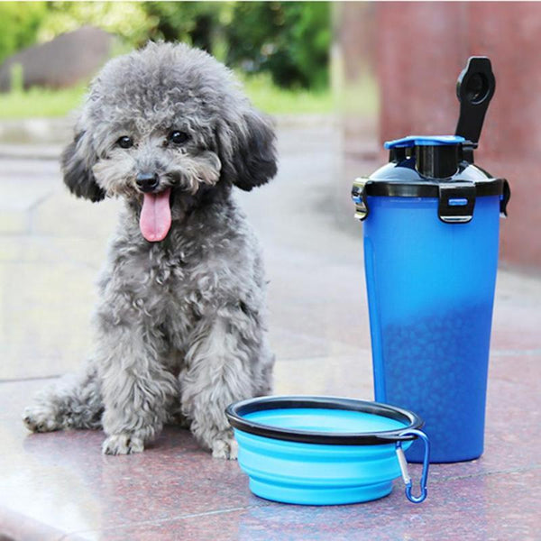 Grijze poedel met blauwe waterfles en opvouwbare kom op marmeren vloer, ideaal voor huisdieruitstapjes. Hond accessoires, draagbare drinkfles.