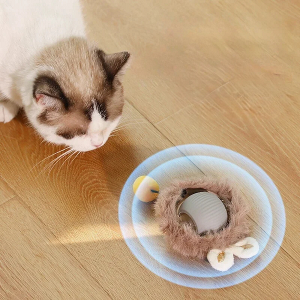 Kat speelt met interactief kattenspeelgoed op houten vloer, inclusief bewegende bal en pluche rand. Perfect voor kattenvermaak en activiteit.