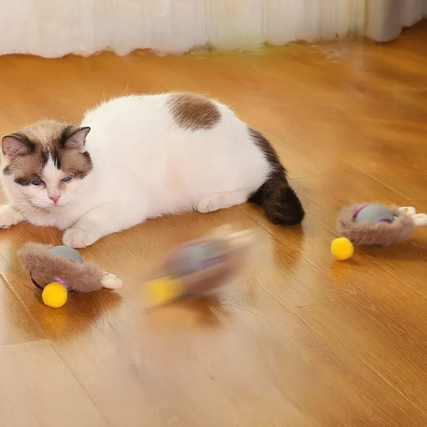Witte en bruine kat speelt met interactieve speelgoedmuizen op houten vloer, huisdierenspeelgoed, kattenplezier, actief binnenshuis.