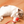 Witte kat speelt met rood kattenspeeltje op houten vloer. Schattige huisdierfoto, ideaal voor kattenliefhebbers en huisdieraccessoires.