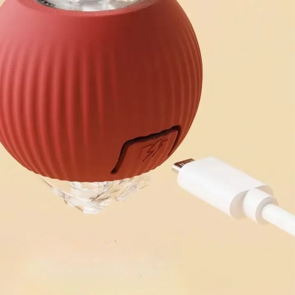 Rode draadloze speaker met USB-C oplaadkabel, modern design, draagbaar, ideaal voor muziek onderweg, compacte Bluetooth-luidspreker.