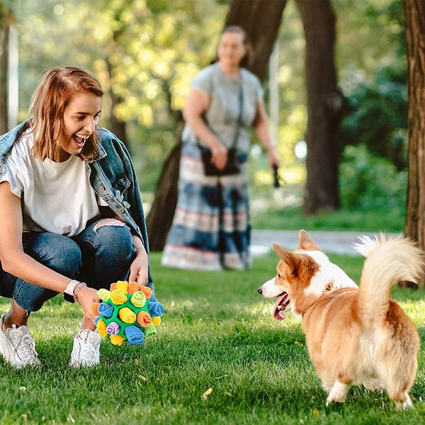 Vrouw speelt met hond en kleurrijke snuffelbal in park. Perfect hondenspeelgoed voor nieuwsgierige huisdieren. Buitenactiviteiten, huisdierplezier.