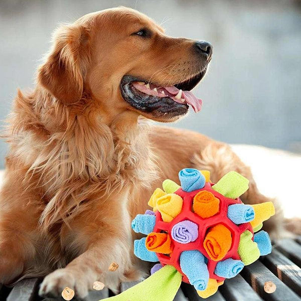 Golden retriever met kleurrijke snuffelbal speeltje, ideaal voor nieuwsgierige huisdieren. Hondenspeelgoed, mentale stimulatie, interactieve speeltijd.